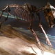 Image for article titled Should the Great Plains become Pleistocene Park?